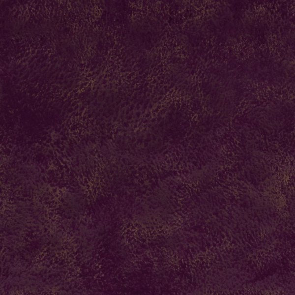 Studio G Alonso Nola Aubergine Cushion
