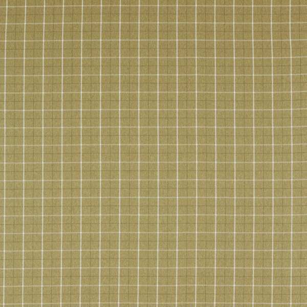 Clarke & Clarke Burlington Thornton Olive Curtains