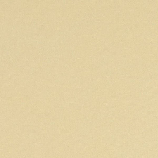 Studio G Alora Straw Curtains