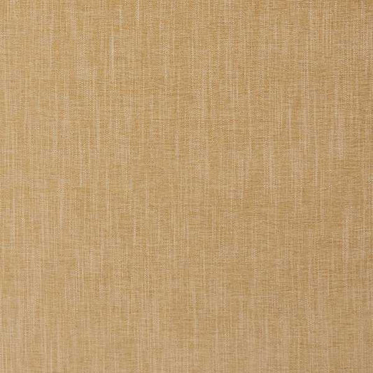 Albany and Moray Moray Antique Curtains