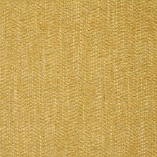 Albany and Moray Moray Chartreuse Curtains