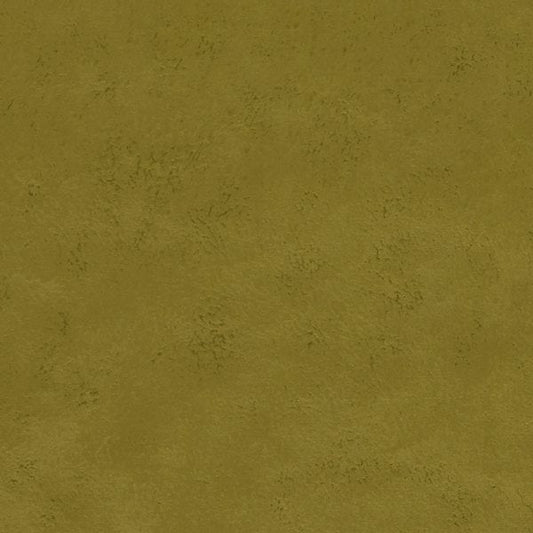 Studio G Alonso Nola Citrus Cushion