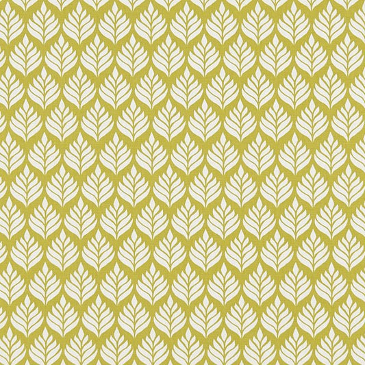 Studio G Coordinates Elise Citrus Curtains