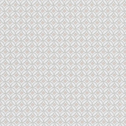 Studio G Coordinates Ortis Blush Cushion Cover