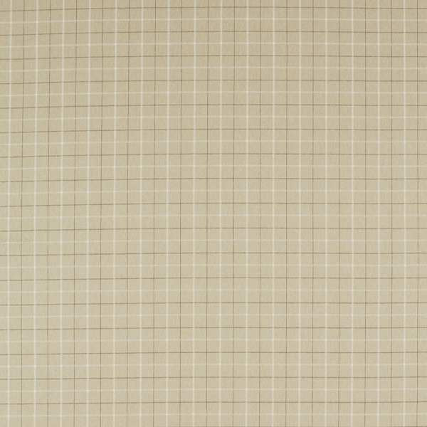 Clarke & Clarke Burlington Thornton Flax Curtains