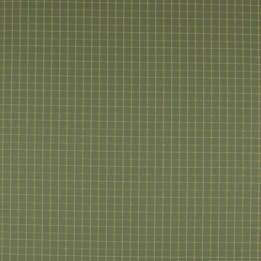 Clarke & Clarke Burlington Thornton Moss Curtains