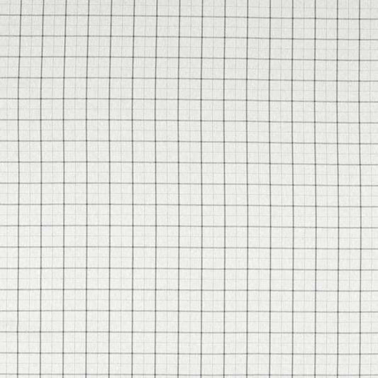 Clarke & Clarke Burlington Thornton Silver Curtains