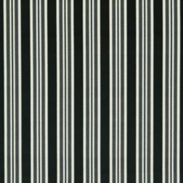Clarke & Clarke Whitworth Wilmott Ebony Curtains